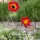 Gartenstecker Glasblumen Mona & Lisa 2er-Set, Rot