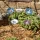 5er-Set Glasblumen Luft – Dekorative Gartenstecker