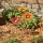 Gartenstecker Glasblumen Feuer, 3er-Set, Blüten 8 Zentimeter