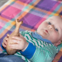 Babyrassel aus Holz – Greifling Urfisch aus Kirschbaum