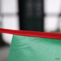Wimpelkette 10 Meter aus Polyamid, wetterfestes Wimpelband