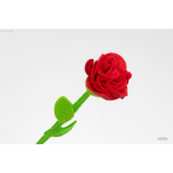 Filzblume rot