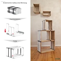 Regal Reditum Moveo.Via 40.40