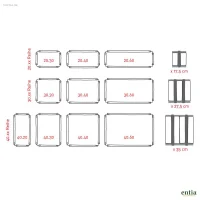Regal Reditum Moveo.Via 40.40